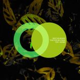 The Long Hike Above the Clouds