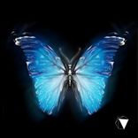 Artwork for "Same Same But Different"