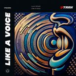 Artwork voor "Like A Voice"