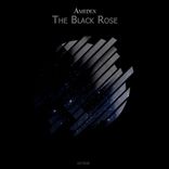 The Black Rose