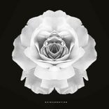 Artwork für "REINCARNATION"