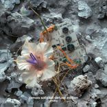 Portada para "Jamais Satisfait"