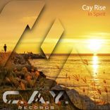 Portada para "In Spirit"