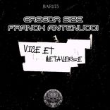 Artwork for "VICE ET METAVERSE"