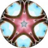 Artwork for "Tree Talks"