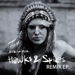 Portada para "Hawks & Spies Remixes"