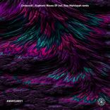 Artwork voor "Euphoric Waves Incl. Etzu Mahkayah Remix"