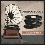 Artwork for "Analog Soul 5"