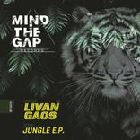 Artwork for "The Jungle EP"