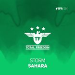 Artwork for "Sahara"