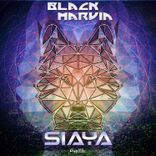 Portada para "Siaya"