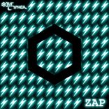Portada para "ZAP"