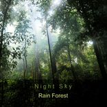 Artwork for "Rain Forest"