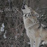 The Results Of Techno