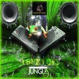 Artwork voor "Jungle Dub"