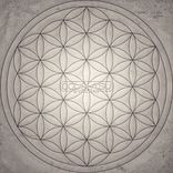 Artwork für "Qigong"