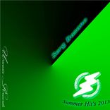 Artwork for "Summer Hit's 2013"