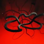 Artwork for "Essential Bass"