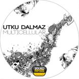 Artwork for "Multicellular"