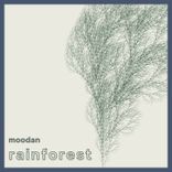 Artwork for "Rainforest"