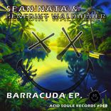 Artwork for "Barracuda"