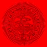 Artwork voor "Zim Zim Zim"