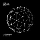 Portada para "Afterlife"