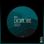 Artwork for "Digital State"