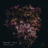 Artwork für "Speak You"