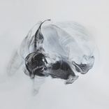 Artwork voor "Conjurer"