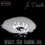 Artwork für "What You Gonna Do"