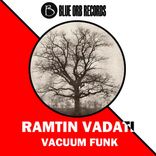 Artwork for "Vacuum Funk"