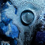 Artwork für "XKPSM004"