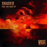 Artwork for "Feel the Heat"