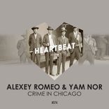 Artwork voor "Crime In Chicago"