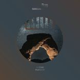 Portada para "Platoon"