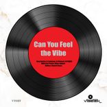 Artwork voor "Can You Feel the Vibe"