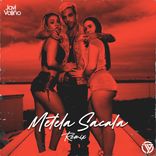 Artwork for "Metela Sacala"