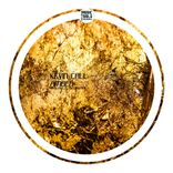 Portada para "Amber"