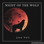 Artwork for "Night Of The Wolf"