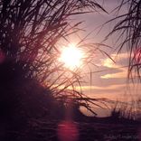 Artwork for "Landscape"