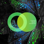 Artwork für "Polarity"