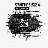 Artwork for "Synthesis2.4"