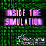 Artwork for "Inside The Simulation"