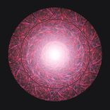 Portada para "Fields"