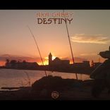 Artwork for "Destiny"