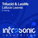 Portada para "Lettuce Leaves"