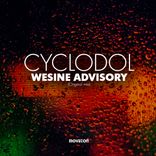 Artwork für "Wesine Advisory"