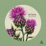 Portada para "Moraleja"