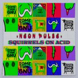 Artwork voor "Squirrels On Acid"